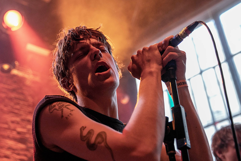 the wombats